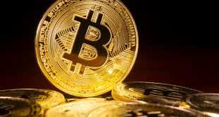 Investasi Bitcoin Krypto