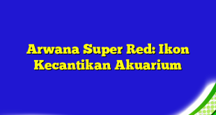 Arwana Super Red: Ikon Kecantikan Akuarium