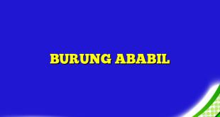 BURUNG ABABIL