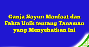 Ganja Sayur: Manfaat dan Fakta Unik tentang Tanaman yang Menyehatkan Ini