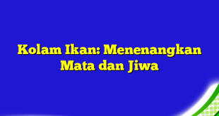 Kolam Ikan: Menenangkan Mata dan Jiwa