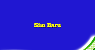 Sim Baru