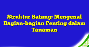 Struktur Batang: Mengenal Bagian-bagian Penting dalam Tanaman