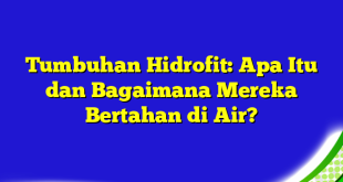 Tumbuhan Hidrofit: Apa Itu dan Bagaimana Mereka Bertahan di Air?