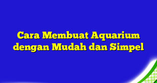 Cara Membuat Aquarium dengan Mudah dan Simpel