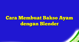 Cara Membuat Bakso Ayam dengan Blender