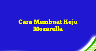 Cara Membuat Keju Mozarella