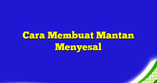 Cara Membuat Mantan Menyesal