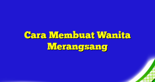 Cara Membuat Wanita Merangsang