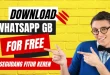 Download Aplikasi WhatsApp GB